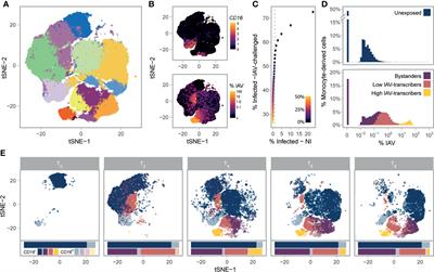 Single-Cell and Bulk RNA-Sequencing Reveal Differences in Monocyte Susceptibility to Influenza A Virus Infection Between Africans and Europeans